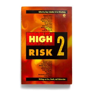 Amy Scholder, Ira Silverberg: High Risk 2: Writing on Sex Death Subversion