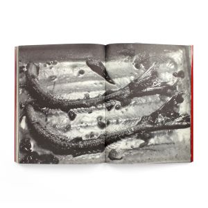 Nobuyoshi Araki: The Banquet