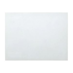 Sofia Coppola: The Virgin Suicides