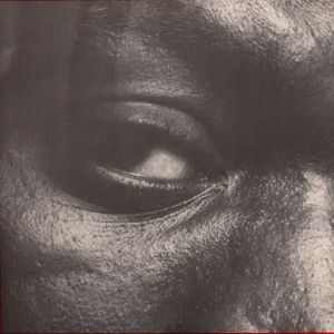 Robert Mapplethorpe: Just Photographs