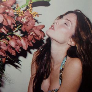 Juergen Teller & Stephanie Seymour: MORE