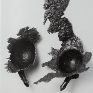 Nan Goldin & Cherry Smith: Bad Girls