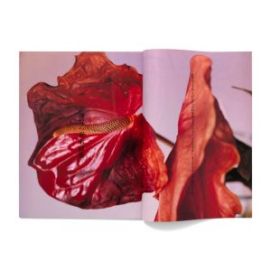 Nobuyoshi Araki: Araki Ra-sha