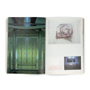 Bijutsu Techo: Mariko Mori