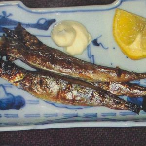 Nobuyoshi Araki: The Banquet