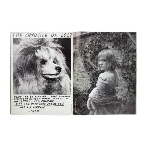 Chloë Sevigny: Issue #2