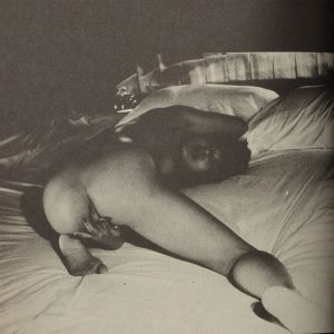 Nobuyoshi Araki: Oh, Shinjuku!