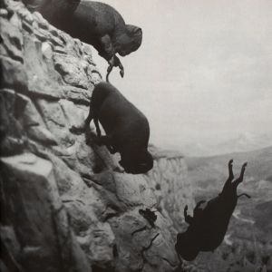 David Wojnarowicz: Tongues of Flame