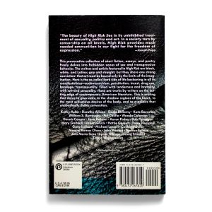 Amy Scholder, Ira Silverberg: High Risk: An Anthology of Forbidden Writings