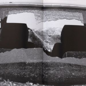 Sarah Lucas: Car Park