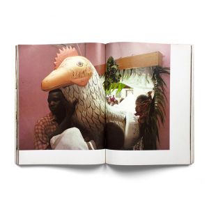 Thierry Secretan: Going into Darkness: Fantastic Coffins from Africa