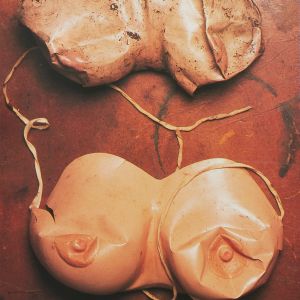 Paul McCarthy: PROPO