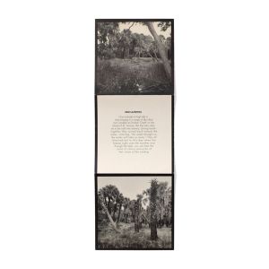 Carrie Mae Weems: Sea Islands