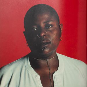 Camilla Nickerson, Neville Wakefield: Fashion: Photography of the Nineties