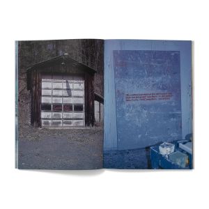 Richard Prince: The Girl Next Door