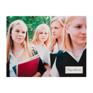 Sofia Coppola: The Virgin Suicides