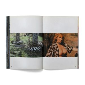 Richard Prince: The Girl Next Door