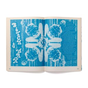 AA Bronson, Philip Aarons: Queer Zines