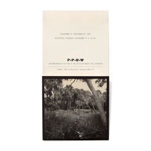 Carrie Mae Weems: Sea Islands