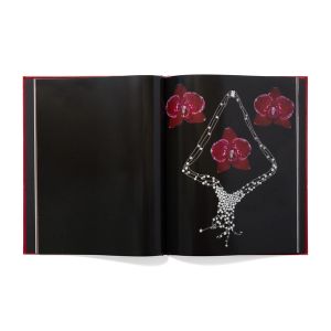 Nobuyoshi Araki: Yami No Hana: Araki’s Jewelry and Flower