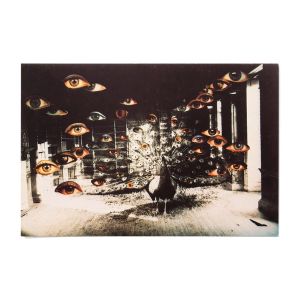 Penny Slinger: I–Witness (An Exorcism)