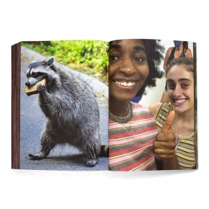 Charlie Fox: Flowers of Romance