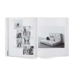 Sarah Lucas: Exhibitions and Catalogue Raisonné,1989-2005