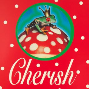 Walter Van Beirendonck: Mutilate