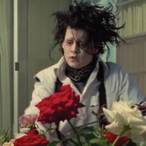 Charlie Fox: Flowers of Romance