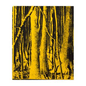 David Wojnarowicz: A Tribute to David Wojnarowicz