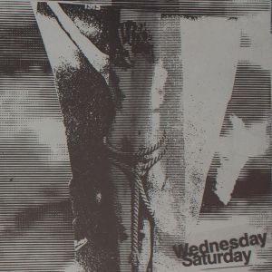 Carolee Schneemann: Video Burn