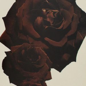 Comme des Garçons: Mémoire de la Mode