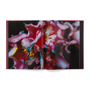 Nobuyoshi Araki: Yami No Hana: Araki’s Jewelry and Flower