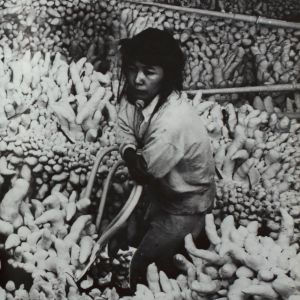 Yayoi Kusama: Driving Image