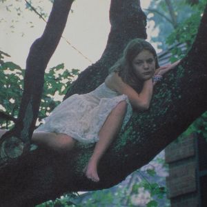 Sofia Coppola: The Virgin Suicides