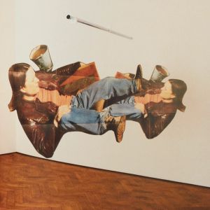 Sarah Lucas: Exhibitions and Catalogue Raisonné,1989-2005