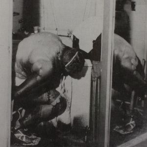 François Peraldi: Polysexuality