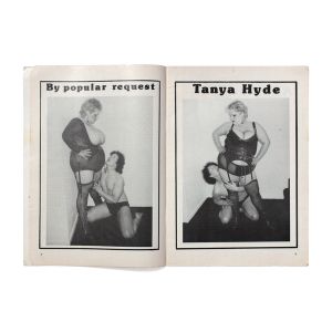 Madame in a World of Fantasy: Vol 13, No.3