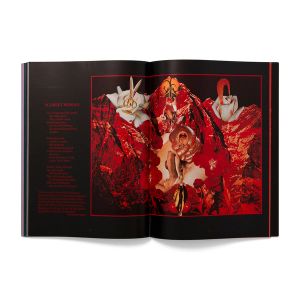 Penny Slinger: Mountain Ecstasy