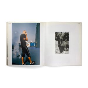 Wolfgang Tillmans: Wolfgang Tillmans