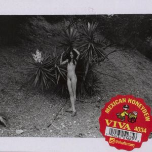 Danny Fox & Kingsley Ifill: Eye For A Sty, Tooth For The Roof