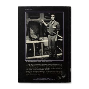 Mike Kelley: Plato's Cave, Rothko's Chapel, Lincoln's Profile