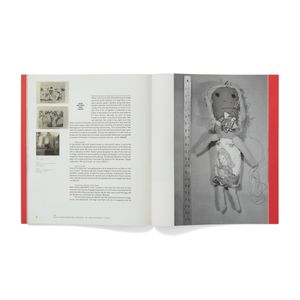 Mike Kelley: Mike Kelley