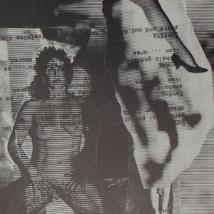 Carolee Schneemann: Video Burn