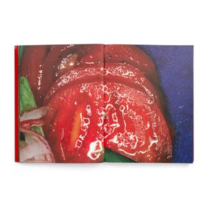 Nobuyoshi Araki: The Banquet