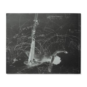 Carolee Schneemann: Up To And Including Her Limits