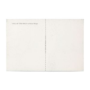 Penny Slinger: Call of the Wild (An Exorcism)