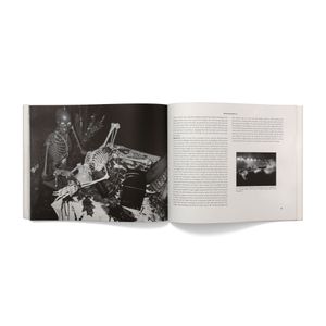 David Wojnarowicz: Tongues of Flame