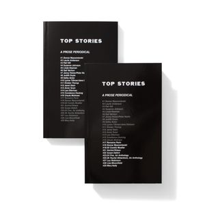 Anne Turyn: Top Stories: A Prose Periodical