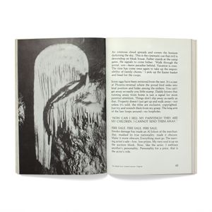 Mike Kelley: Plato's Cave, Rothko's Chapel, Lincoln's Profile